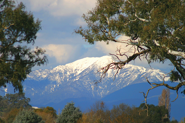 Mt Buller Accommodation